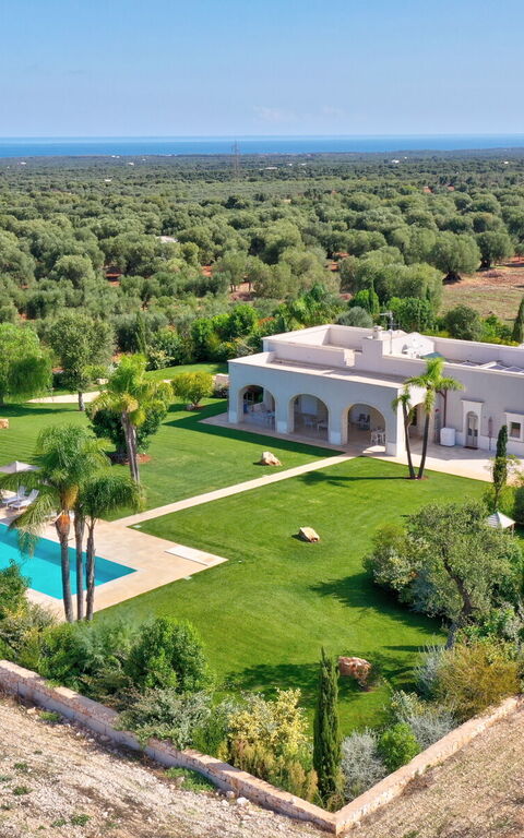 Villa Bellavista: bassin, Jardin, Vues