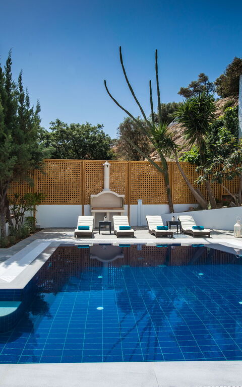 Villa Artemis: bassin