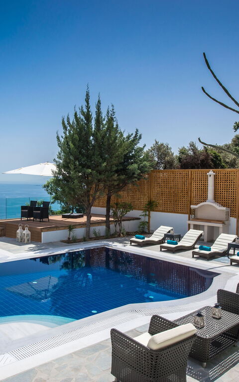 Villa Artemis: bassin