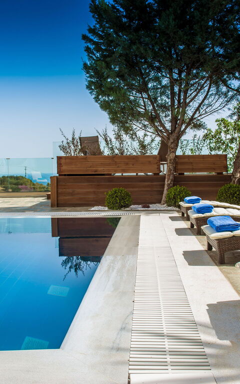 Villa Artemis: bassin