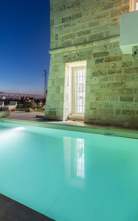 Villa Turris: bassin