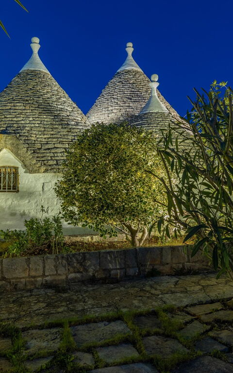 Trullo Patricia Pool: Extérieurs, Jardin