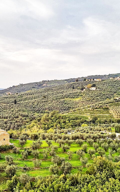 Casa Lionardo: Extérieur, Vues