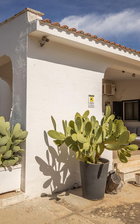 Villa Natura: Balcon / Terrasse / Patio, Entrée principale, Extérieurs