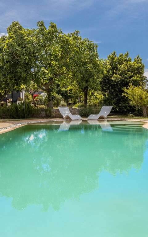 Villa Natura: bassin, Extérieurs, Jardin