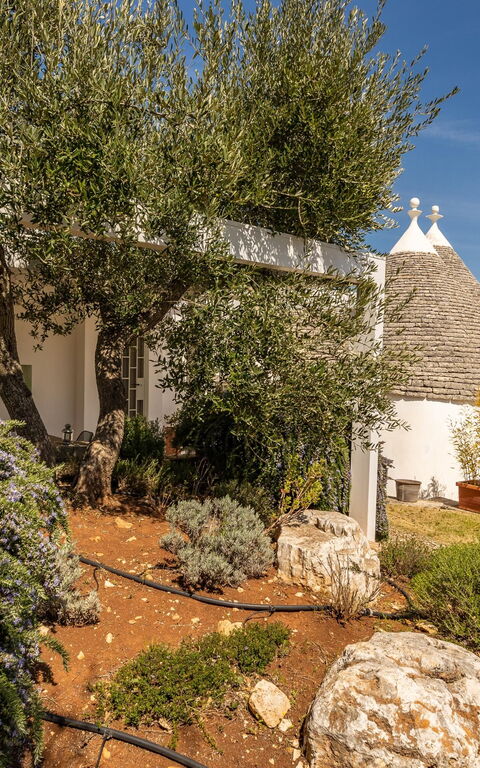 Tenuta Minnea: Extérieurs, Jardin