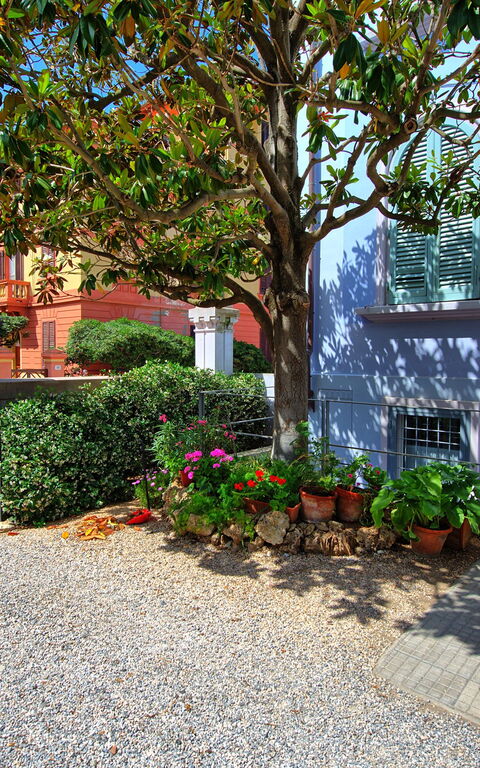 Casa Riva: Extérieur