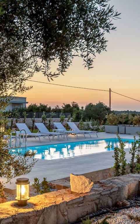 Iris: bassin, Extérieur, Extérieurs, Jardin