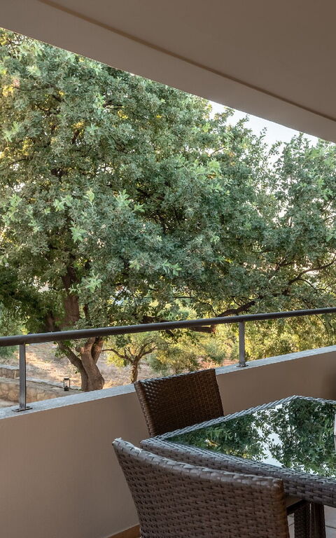 Iris: Balcon / Terrasse / Patio, Extérieur, Vues