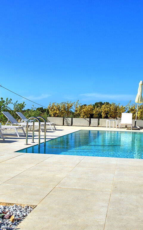 Iris: bassin, Extérieur, Extérieurs