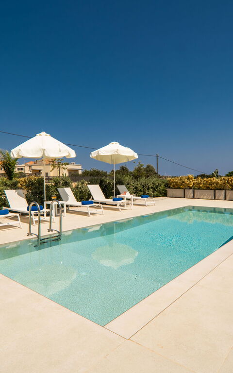 Iris: bassin, Extérieur, Jardin