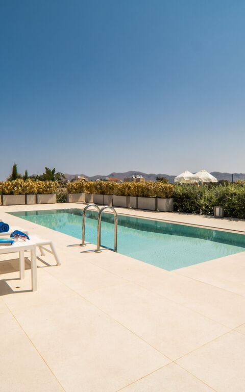 Iris: bassin, Extérieur, Extérieurs, Jardin