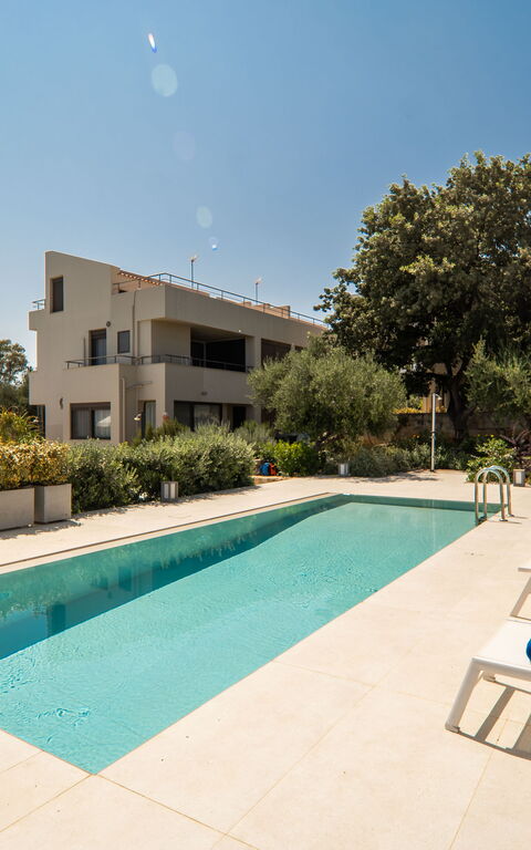 Iris: bassin, Extérieur, Jardin