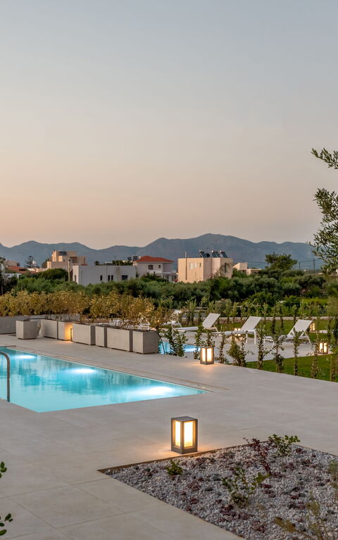 Iris: bassin, Extérieur, Extérieurs