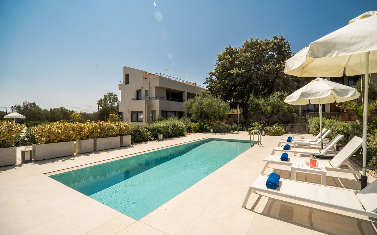 Iris: bassin, Extérieur, Jardin