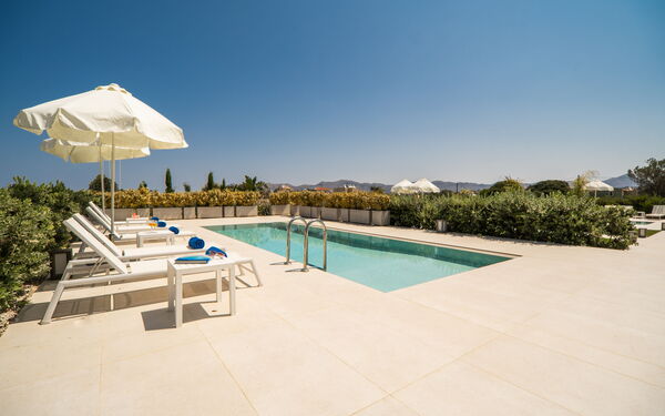 Iris: bassin, Extérieur, Extérieurs, Jardin