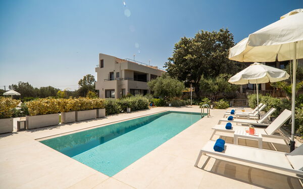 Iris: bassin, Extérieur, Jardin