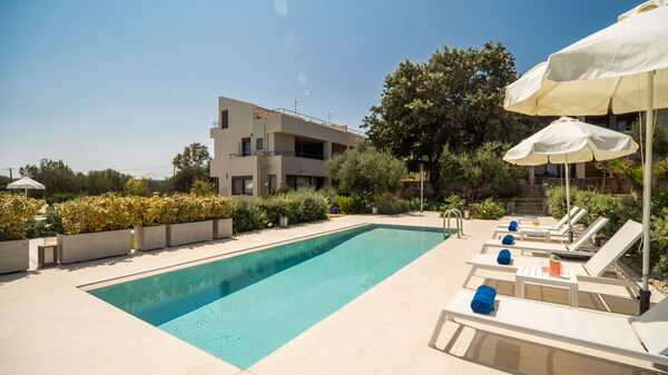 Iris: bassin, Extérieur, Jardin