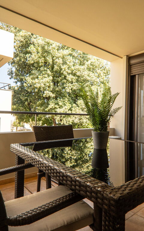 Dioni: bassin, Extérieur, Jardin