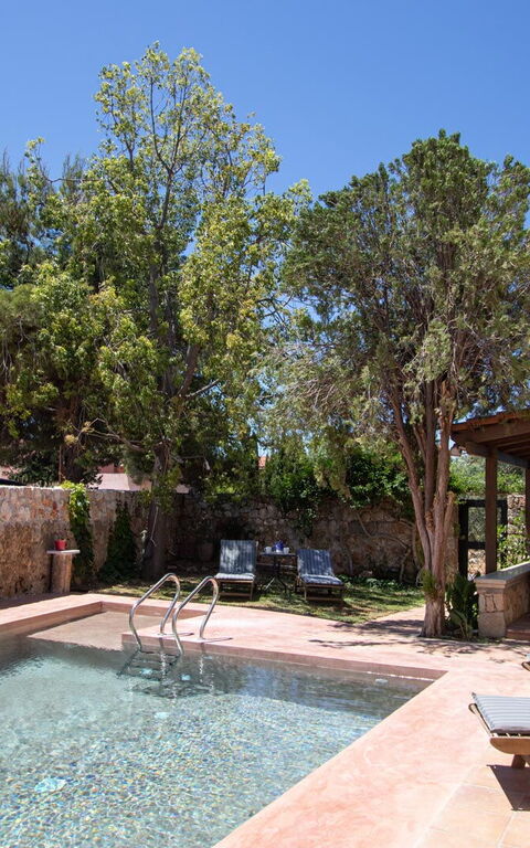 Villa Giani: Balcon / Terrasse / Patio, bassin, Jardin