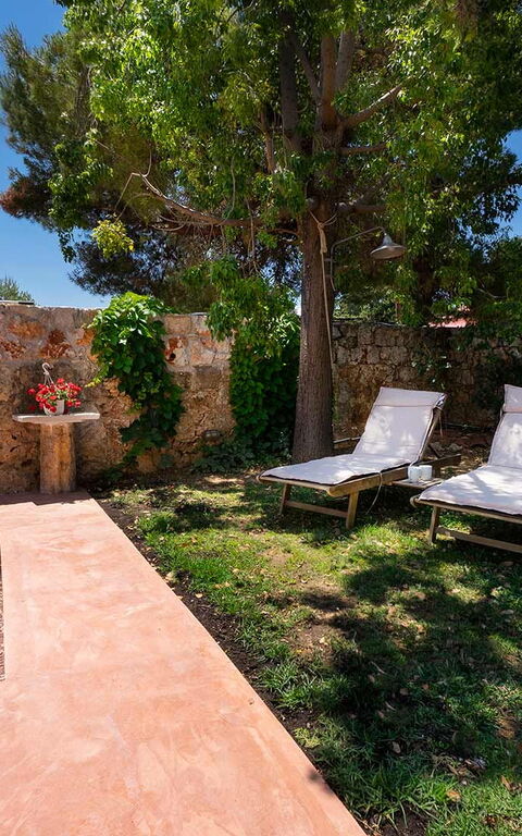 Villa Giani: Extérieur, Jardin