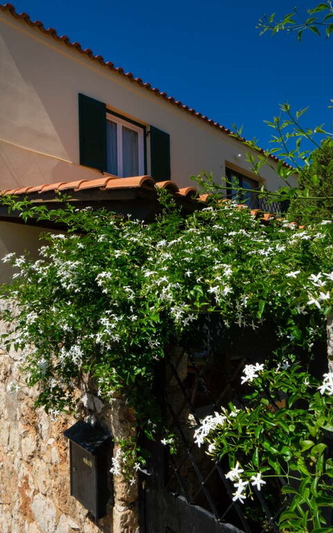 Villa Giani: Extérieurs, Jardin