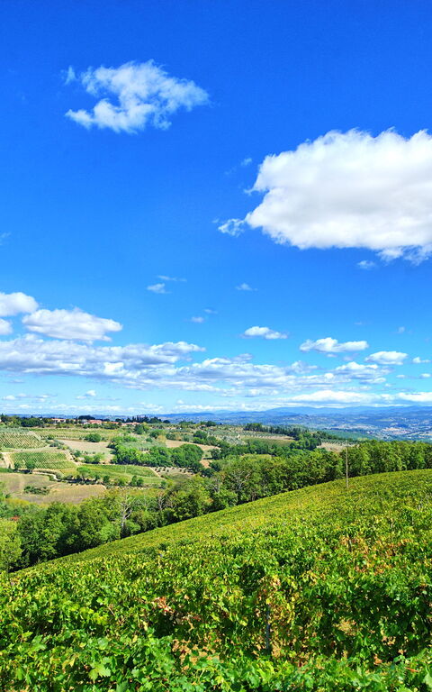 Montauto: Extérieur, Vues
