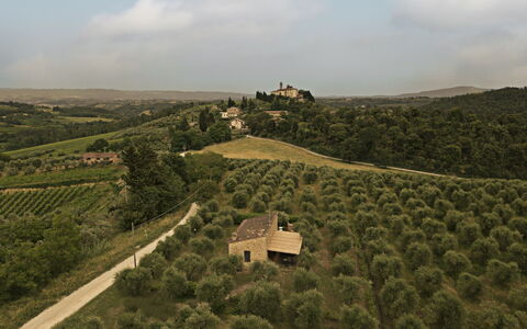 Logement Capanna: Vues