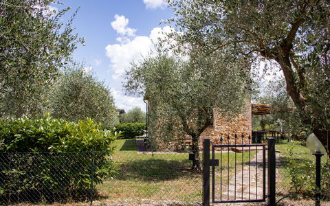 Logement Capanna: Extérieurs, Jardin