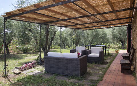 Logement Capanna: Extérieurs, Jardin