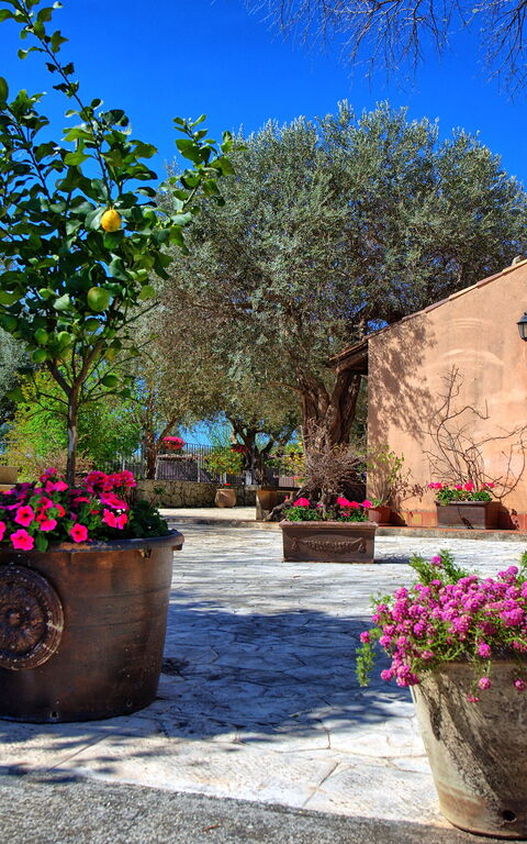 Villa Maddalena: Balcon / Terrasse / Patio, Extérieur, Extérieurs