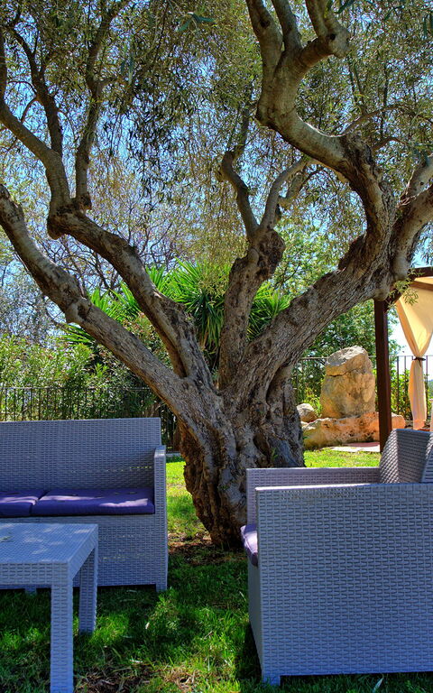 Villa Maddalena: Extérieur, Extérieurs, Jardin