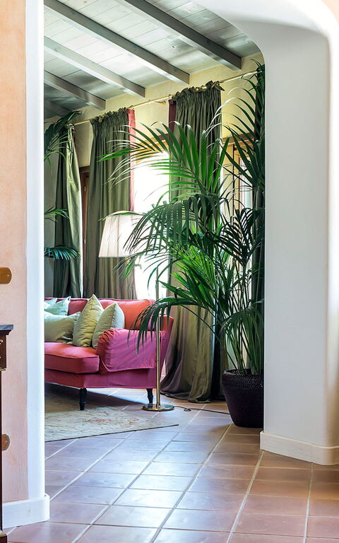 Don Salvatore: Salon