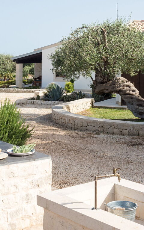 Corte Moscata: Extérieur, Extérieurs, Jardin