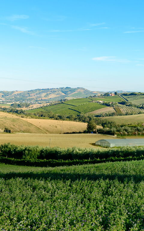 Villa Vittoria: Extérieur, Vues
