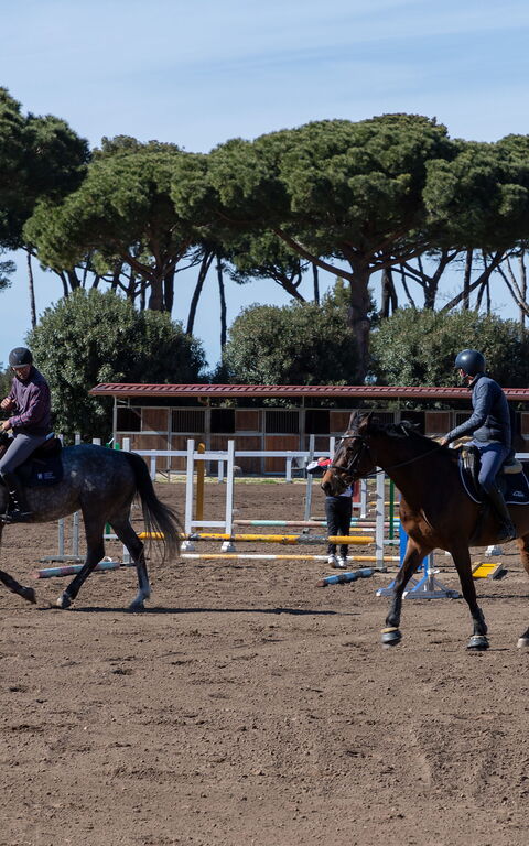 Villa Dolce Vita: Activités, Extérieur