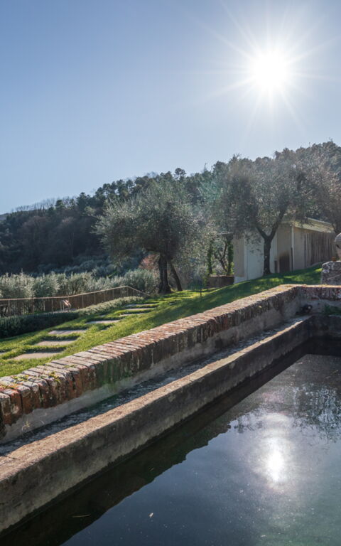 Villa Bellostare: Extérieur, Extérieurs, Jardin