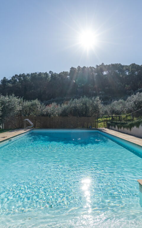 Villa Bellostare: bassin, Extérieur, Extérieurs