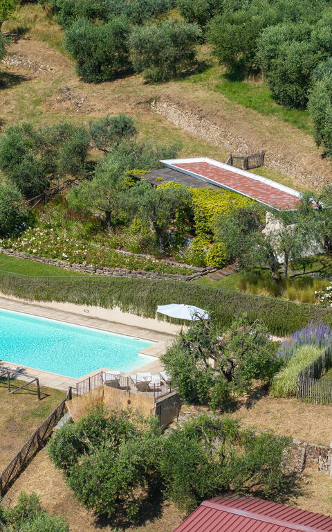 Villa Bellostare: bassin, Extérieur, Jardin, Vues
