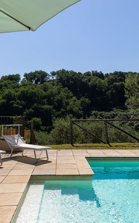 Villa Bellostare: bassin, Extérieur
