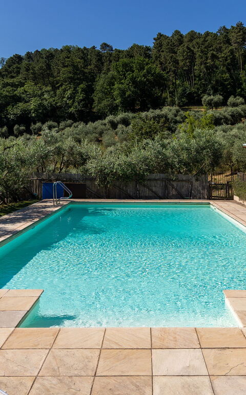 Villa Bellostare: bassin, Extérieur