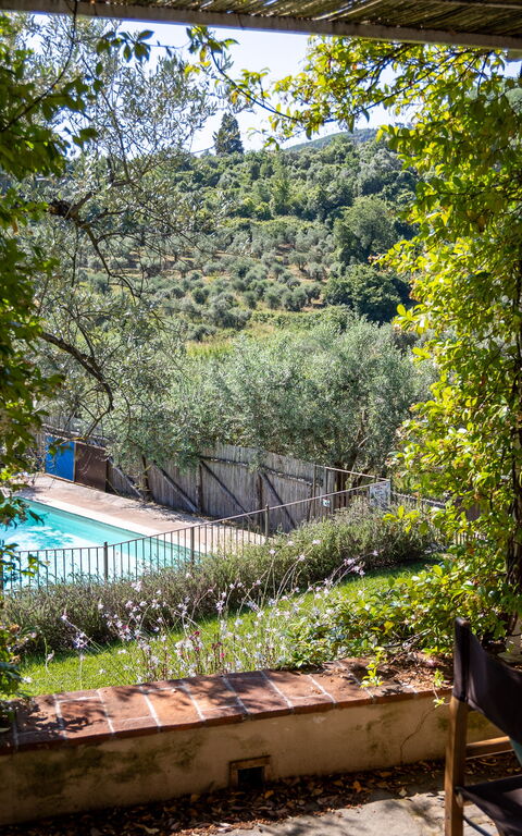 Villa Bellostare: bassin, Extérieur, Jardin