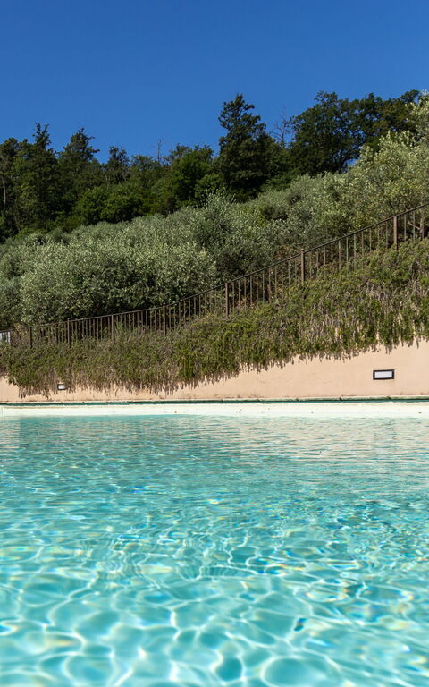 Villa Bellostare: bassin, Extérieur