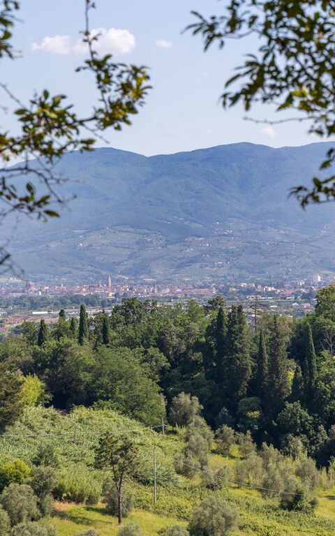 Villa Bellostare: Extérieur, Vues