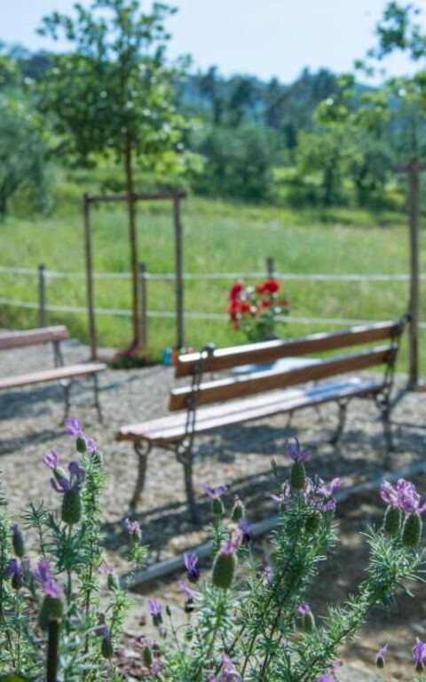 Bello Stare: Extérieur, Extérieurs