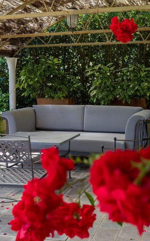 Bello Stare: Extérieur, Jardin