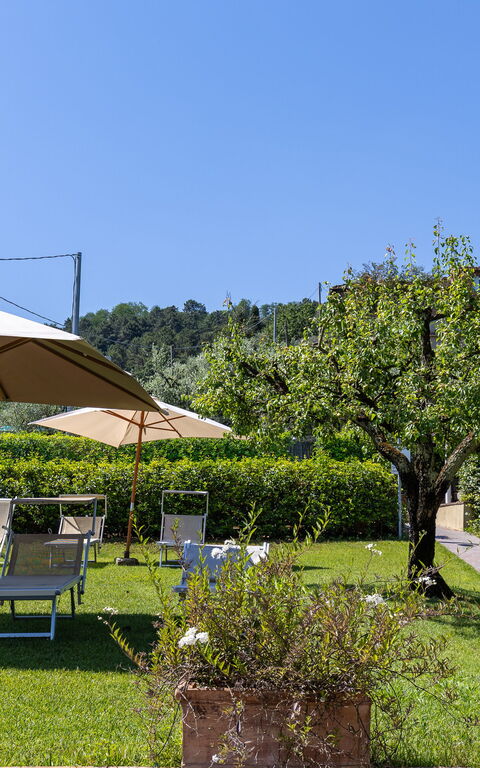 Bello Stare: Extérieur, Jardin