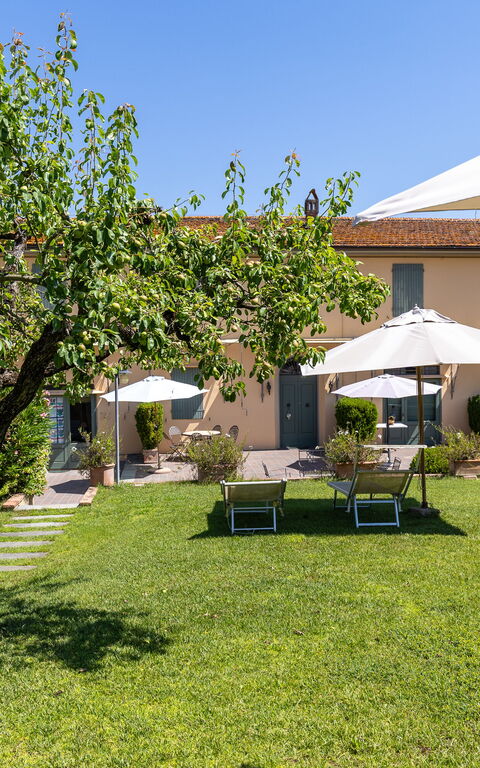Bello Stare: Extérieur, Jardin