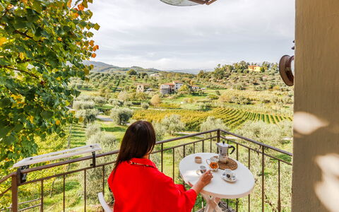 Logement Rossello: Balcon / Terrasse / Patio, Détails de la chambre