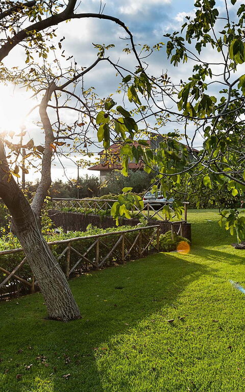 Villa Montefiore: Jardin